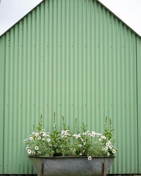 We love corrugated steel for its durability. Your roofs and walls will always be galvanised or powder-coated making them heat, water, and rust-resistant. With its unrivalled recyclable properties and low environmental impact, it’s our preferred choice of material and makes for the perfect shell 🐢 Tiny House Garden, Corrugated Steel, Back House, Steel Roof, Office Pods, Shed House, House Garden, New Business, Environmental Impact