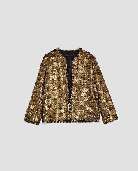 Brown Tweed Blazer, Gold Jacket, Blazer Jackets For Women, Sequin Jacket, Brown Jacket, Tweed Blazer, Zara Woman, Gold Sequin, Wearing Clothes