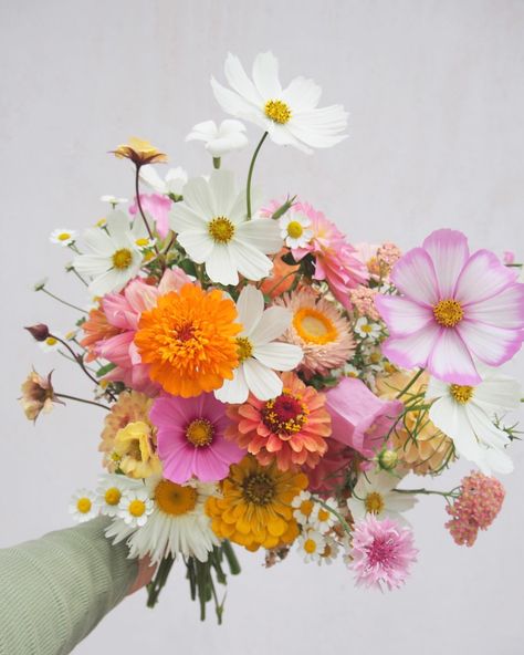 Cosmos Wedding Bouquet, Cosmos Wedding, Zinnia Bouquet, Dahlia Wedding Bouquets, Midsummer Wedding, Canterbury Bells, Flower References, Colorful Bridal Bouquet, Dahlias Wedding