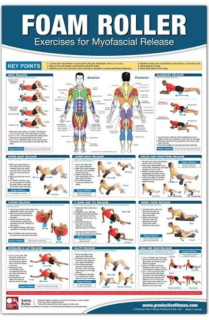 Roller Exercises, Foam Roller Exercises, Foam Rollers, Hip Flexor Stretch, Workout Posters, Myofascial Release, Foam Rolling, Yoga Iyengar, Self Massage