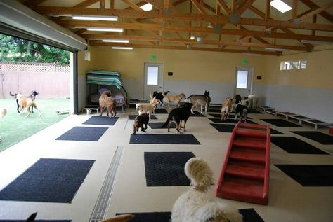 I like the idea of being able to open up the playroom Dog Daycare Prices, Dog Daycare Design, Dog Boarding Ideas, Dog Daycare Business, Building A Dog Kennel, Cheap Dog Kennels, Indoor Dog Park, Metal Dog Kennel, Dog Boarding Facility