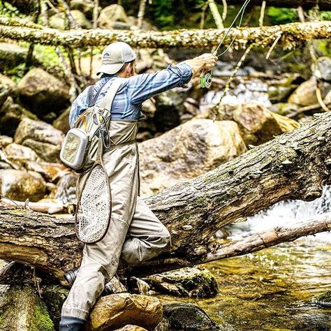 They live in the coolest places. #trout #flyfishing #fishing #fish #vermont #keepemwet #catchandrelease #wildtrout #whatgetsyououtdoors #troutbum #flyfishingnation  #fishingwithaconscience  #wadeforit #worththewade #repyourwater #troutporn #findyourwild #fishwest #fishwest #flyfishingphotography #outdoors #onthefly #staywild #troutfishing #flyfish #flyfishingjunkie #fishinglife  #Regram via @rednorthflies Jungle Survival, Fly Fishing Photography, Jungle Boots, Brown Trout, The Rainforest, Fishing Life, Stay Wild, Trout Fishing, Fly Fishing