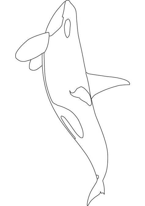 Coloring Pages for children is a wonderful activity that encourages children to think in a creative way and arises their curiosity. Description from printablecolouringpages.co.uk. I searched for this on bing.com/images Drawing Whale Shark, Orca Whales Drawing, Simple Orca Drawing, Orca Sketch, Orca Drawing, Orca Outline, Orca Coloring Pages, Orca Printables, Orca Art