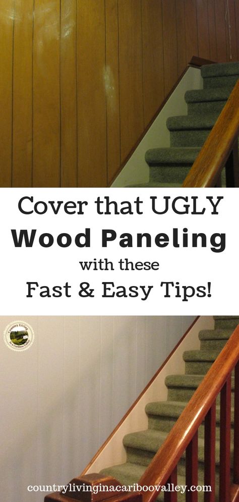 A fast and easy home project. Tips and tricks for painting old grooved wood paneling. Update your home; easy to do one room a day! Brighten your home by painting wood paneling. #DIY #homedecor #homeproject Wood Paneling Makeover, Paneling Makeover, Film Decor, Painting Wood Paneling, Painting Wood, Painted Paneling, Wood Panel Walls, Old Wood, Wooden Doors