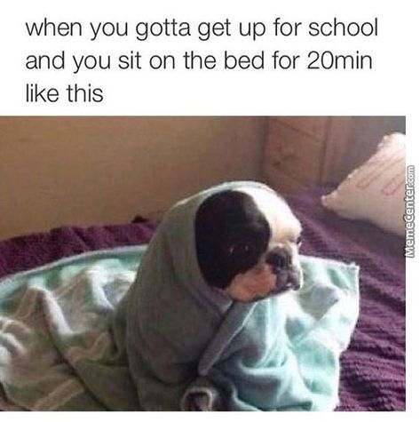 School Memes, Funny Animal Jokes, Clipuri Video, Relatable Post Funny, Awkward Moments, Some Funny Jokes, Really Funny Joke, Funny Relatable Quotes, Funny Puns