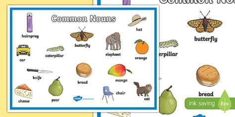 Proper Noun Examples, Common Noun, Social Emotional Health, Abstract Nouns, Alphabet Centers, Common And Proper Nouns, Pete The Cats, Common Nouns, Ell Students