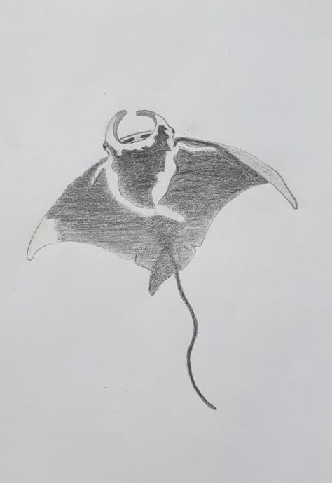 Drawing Manta Ray, Ocean Animals Drawing Realistic, Manta Ray Drawing Sketch, Mantaray Drawing, Stingray Sketch, Ray Sketch, Stingray Painting, Manta Ray Drawing, Stingray Drawing