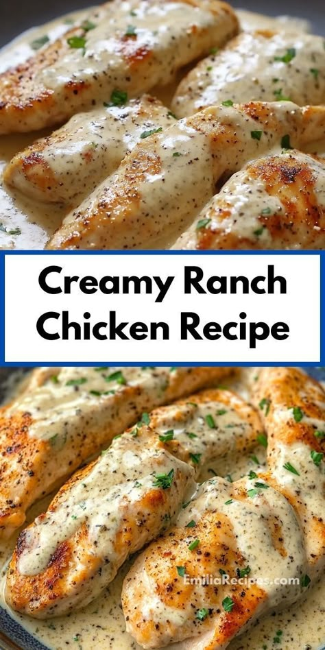 Searching for a flavorful dish that’s quick to make? Try this Creamy Ranch Chicken Recipe, a simple yet delicious option for dinner. Perfect for busy evenings, it’s sure to be a family favorite! Chicken Ranch Casserole Recipes, Oven Baked Chicken With Gravy, Easy Chicken Dishes For A Crowd, Easy Chicken For A Crowd, Creamy Ranch Chicken Recipes, Ranch Seasoning Recipes Chicken, Creamy Ranch Chicken Crockpot, One Pan Ranch Chicken, Dinner For A Crowd Main Dishes