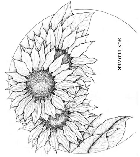 Leather Patterns Templates, Sunflower Sketches, Sunflower Coloring Pages, Minimalistic Tattoo Ideas, Simple Line Drawing, Minimalistic Tattoo, Sunflower Drawing, Leather Tooling Patterns, Relief Carving