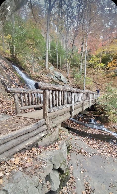 Wooden Bridge Over Creek, Garden Bridge Design, Backyard Bridges, Outdoor Bridges, Bridge Ideas, Pond Bridge, Farm Layout, Japan Garden, Garden Steps