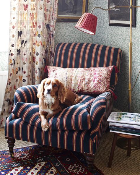 Bailey is sitting cosy on our armchair in the chenille stripe. A generously proportioned armchair with down-filled cushions for extra comfort. Our reading lamp in antique brass and our wallpaper Kiri sage finish off this corner setting. The curtain behind is the original Anatolian weave that inspired our Karsamba fabric. Saturday Plans, Striped Armchair, Antique Armchair, Robert Kime, Traditional Armchairs, Striped Sofa, Nagel Design, Antique Interior, Fabric Lampshade