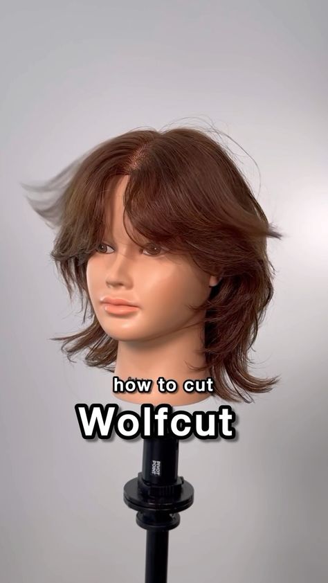 Instagram Hush Cut On Short Hair, Wolf Cut Bangs Tutorial, How To Do Wolf Cut Hair, Wolf Cut Straight Hair Short, Short Hair Wolf Cut With Bangs, How To Cut Layers In Short Hair, Wolf Cut On Short Hair, Short Wolfcut With Curtain Bangs, Wolfcut Curtain Bangs