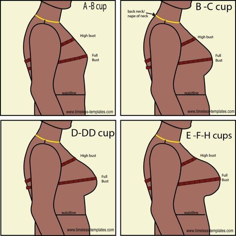 Finding Dress Bust Cup Sizes - Timeless Templates Human Body Proportions, Increase Breast Size, Moda Academia, Full Bust Adjustment, Bra Sewing Pattern, Sewing Measurements, Corset Sewing Pattern, Bra Sewing, Fashion Sewing Tutorials