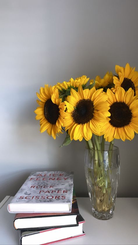 Sunflower And Books Aesthetic, Sunflower In A Pot, Yellow Aesthetic Sunflower, Sunflower Garden Aesthetic, Sunflower Vase Aesthetic, Sunflowers In The Rain, Fake Scenarios, Plants In Pots, Sunflower Photography