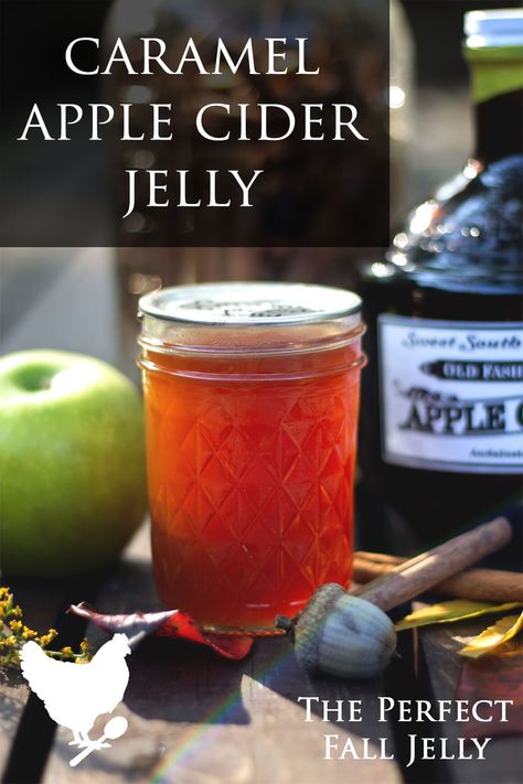 A favorite fall season jelly made from apple cider, with a hint of caramel and cinnamon. This recipe makes about 6 half pint jars Spiced Apple Jelly From Juice, Apple Core Jelly Recipe, Winter Jelly Recipes, Caramel Apple Jelly, Carmel Apple Jelly, Apple Cider Jelly Recipe, Fall Jelly Recipes, Apple Cider Jelly, Lydia Bastianich