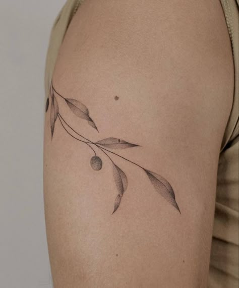 Delicate Olive Branch Tattoo, Olive Branch Collar Bone Tattoo, Olive Vine Tattoo, Olive Leaves Tattoo Design, Tattoo Olive Branch, Leave Tattoo, Manchester Tattoo, Small Nature Tattoo, Olive Tattoo