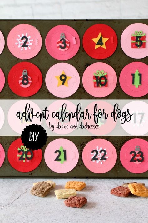 DIY advent calendar for dogs made with an old upcycled muffin tin {this idea would also be super cute for kids} Dog Advent Calendar Ideas Diy, Advent Calendar For Dogs Diy, Dog Treat Advent Calendar, Homemade Dog Advent Calendar, Puppy Advent Calendar, Dog Advent Calendar, Make An Advent Calendar, Upcycled Projects, Diy Advent Calendar