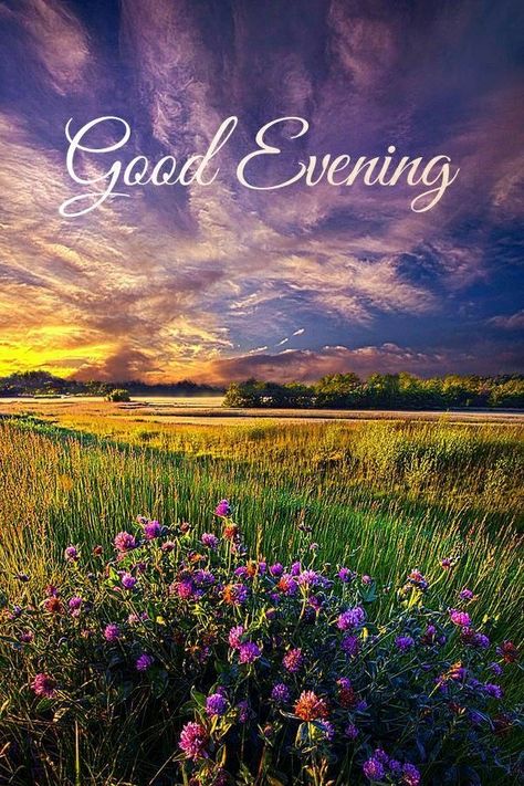 Have A Peaceful Evening, Good Night Friends Images, Good Evening Messages, Peaceful Evening, Friends Images, Night Friends, Good Night Friends, Moon Rise, Night Quotes