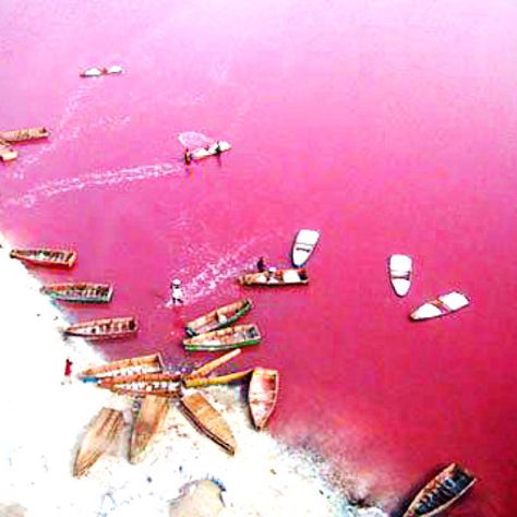 I WILL go here someday! Lac Rose. Lake Retba Senegal, Pink Lake Australia, Lake Retba, Cap Vert, Pink Lake, Robinson Crusoe, We Are The World, Places Around The World, Most Beautiful Places