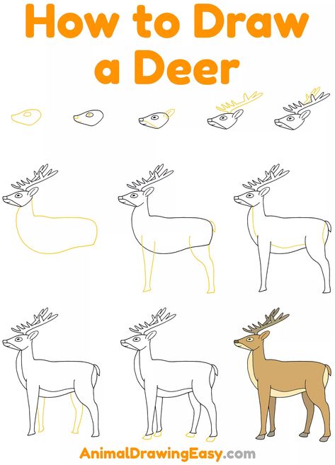 How to Draw a Deer Step by Step #EasyDrawings #HowtoDraw #EasyDrawingGuides #EasyDrawingTutorials #Sketch #Sketching #Deer #DeerDrawing #HowtoDrawaDeer #DeerAntlers #DeerSketch #HowtoDrawAnimals Deer Poses Reference, How To Draw A Reindeer For Kids, How To Draw A Deer Step By Step, Deer Sketch Simple, Deer Drawing Easy, Drawing Of A Deer, Draw A Deer, Deer Sketch, Zoo Phonics