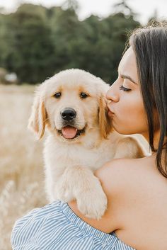 Dog Owner Photoshoot, Dog Photography Ideas, Dog Family Pictures, Family Dog Photos, Pet Photography Poses, Dog Photoshoot Pet Photography, Dog Photography Poses, Golden Field, Fitness Funny