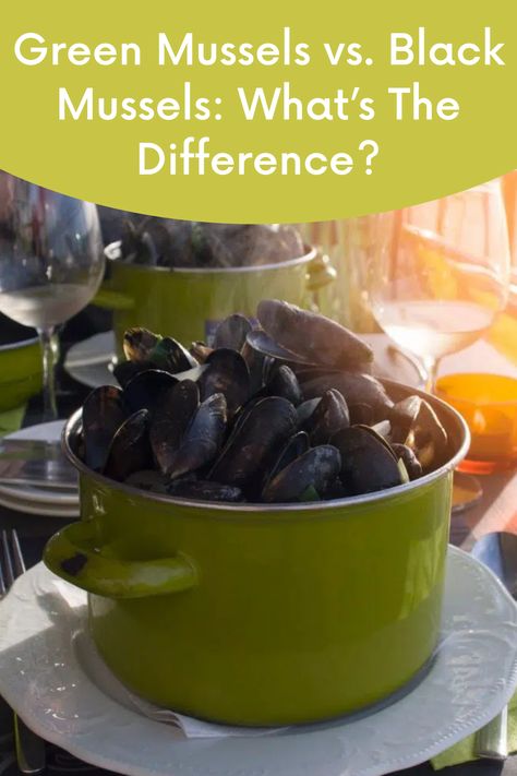 Green Mussels, Blue Mussel, Healthy Afternoon Snacks, Green Lipped Mussel, Green Lips, Food Info, Afternoon Snacks, Vitamin D, Green And Black