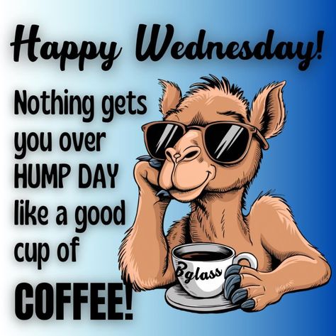 Wednesday Coffee, Wednesday Humor, Wacky Wednesday, Coffee Quotes Funny, Happy Wednesday Quotes, Wednesday Quotes, Speed Bump, Coffee Wine, Hump Day