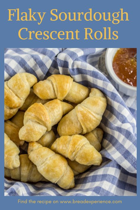 Flaky Sourdough Crescent Rolls with Pineapple Marmalade Sourdough Crescent Rolls No Yeast, Sourdough Discard Cresent Rolls, Sourdough Crescent Dough, Corrisant Recipe, Sourdough Roll Recipe, Sourdough Discard Crescent Rolls, Sourdough Pigs In A Blanket, Sourdough Crescent Rolls, Sourdough Discard Croissants