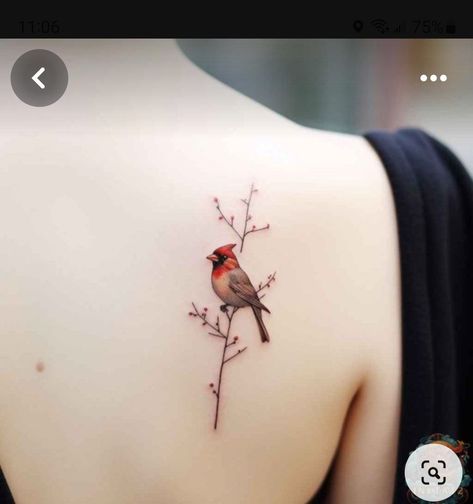 Cardnial Tattoo, Cardinal Bird Tattoos, Red Cardinal Tattoos, Small Cardinal Tattoo, Halo Tattoo, Cardinal Tattoo, Cardinal Tattoos, Believe Tattoos, Sibling Tattoos