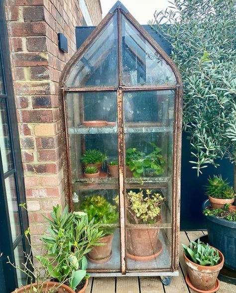 Greenhouse Vintage, Small Greenhouses, Vintage Greenhouse, Cold Frame Diy, Cold Frames, Green Houses, Garden Inspo, Backyard Greenhouse, Small Greenhouse