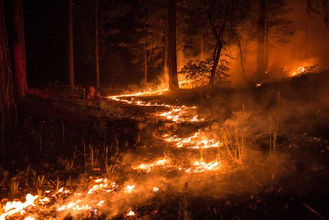 Fire Aesthetic Banner, Fire Aesthetic, Wild Fire, Art Films, Fire And Ice, Art Show, Firefighter, California, Film