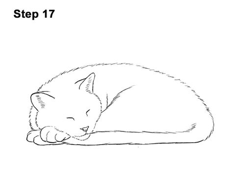 How to Draw a Cat Kitten Sleeping 17 Draw A Sleeping Cat, Cat Sleeping Drawing, Sleeping Video, Draw Cat, Kitten Sleeping, Draw A Cat, Sleeping Drawing, معرض فني, Hello Kitty Design