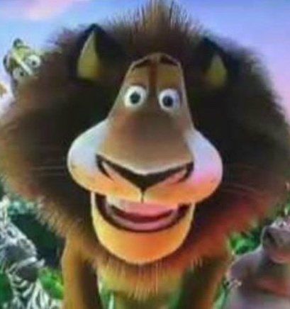 Why Are You White Madagascar, Madagascar Movie Funny, Alex The Lion Madagascar, Madagascar Funny, Madagascar Meme, Alex Madagascar, Madagascar Fanart, Alex The Lion, Madagascar Movie