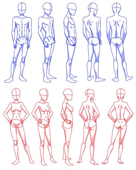 body rotation by Flipfloppery Teen Body Anatomy Drawing, Body Angles Drawing Pose Reference, Body Rotation Reference, Body Different Angles, Anime Body Shape, Body Positions Drawing, Character Rotation, Body Shape Chart, Women Poses