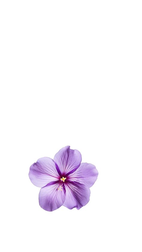 Purple Flower Lockscreen, Purple Flower White Background, Violet Aura Aesthetic, Purple Flowers Wallpaper Iphone, Wallpaper Iphone Light Purple, Purple Asthetics Photos, Wallpaper Iphone Violet, Purple Wallpaper Lavender, Purple Screensaver