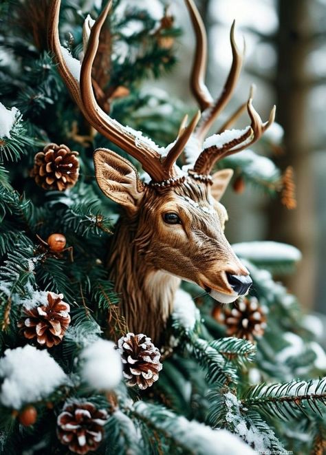 41+ Unique Christmas Tree Topper Ideas That Will Wow Your Guests 63 Rustic Christmas Tree Topper Ideas, Reindeer Tree Topper, Woodland Tree Topper, Tree Toppers Christmas Unique, Unusual Christmas Tree Toppers, Christmas Tree Topper Ideas, Rustic Tree Topper, Tree Topper Ideas, Christmas Tree Toppers Unique