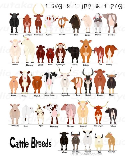 Types Of Cows, Dog Chart, Breeds Of Cows, Palette Challenge, Cow Colour, Food Factory, Sheep Breeds, Cattle Breeds, Cow Pictures