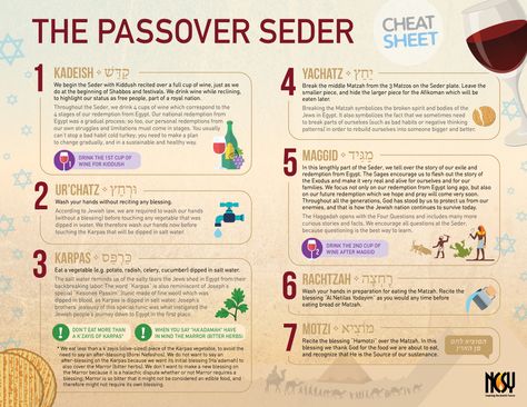 Print out this sheet to guide you through the Passover Seder: Why do we have salt water, matzah, and bitter herbs at the Seder? When do we drink each cup of wine? What are the deeper meanings behind the customs, and what do the seder customs teach us about achieving personal freedom? Passover Worksheets, Passover Lesson, Passover Recipes Dessert, Bitter Herbs, Jewish Feasts, Pesach Seder, Feasts Of The Lord, Passover Seder Plate, Food Meaning