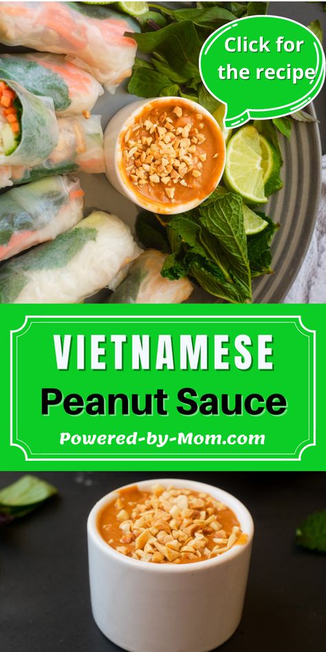 This authentic Vietnamese peanut sauce recipe is easy to make and only needs a handful of ingredients. Delicious when paired with Summer Rolls Vietnamese Rolls Sauce, Vietnamese Peanut Sauce, Vietnamese Salad Rolls, Vietnamese Sauce, Spring Roll Sauce, Peanut Dipping Sauce, Peanut Sauce Recipe, Thai Peanut Chicken, Asian Recipe