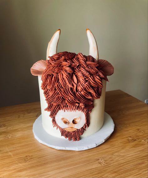 Highland Cow Smash Cake, Longhorn Cake, Bull Cake, Highland Cow Cake, Glamorous Wedding Cakes, Cow Birthday Cake, Cow Cake, Cow Cookies, Cow Cakes