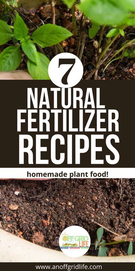 Plant Food Diy, Home Made Fertilizer, Homemade Plant Fertilizer, Organic Plant Fertilizer, Homemade Plant Food, Grass Fertilizer, Natural Plant Fertilizer, Affordable Landscaping, Organic Liquid Fertilizer