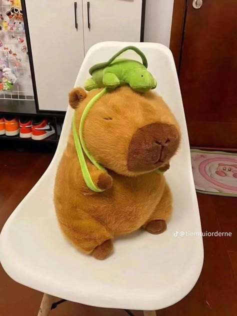 Capybara Plushies, Capybara Plushie, Fox Plushie, Capybara Plush, Turtle Keychain, Easy Crochet Animals, Kawaii Plush, Kawaii Plushies, Cute Doll