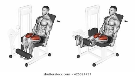 Stock Photo and Image Portfolio by Makatserchyk | Shutterstock Leg Extensions Workout, Leg Workouts For Men, Leg Extension, Spin Bike, Tone Thighs, Barbell Squat, Quad Exercises, Leg Training, Gym Machines