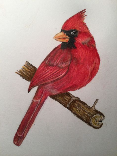 Cardinal Drawing Simple, Cardinal Bird Drawing, Cardinal Drawing, Cardinal Birds Art, Birds Drawing, Bird Pics, Bird Painting Acrylic, Wooden Birds, Color Knowledge