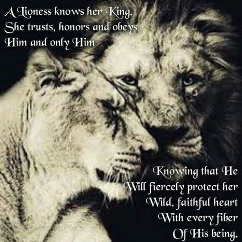 I love you kitten, and I will protect your wild, faithful heart with every fiber of my being 💙💙💙. Lioness Quotes, Lion Couple, Her King, Lion Quotes, Lion And Lioness, Motivational Inspirational Quotes, Lion Love, Leo Love, Lion Pictures