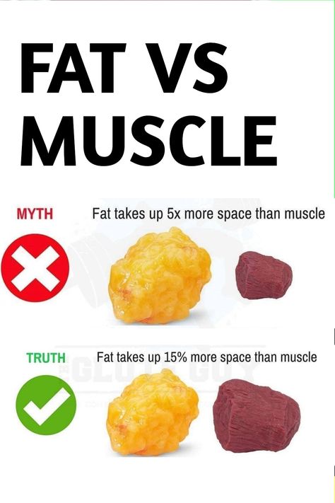 Same Weight Fat Vs Muscle, Fat Vs Muscle, Fitness Posters, One Pound Of Fat, Nutrition Classes, Food Motivation, Green Meals, Lean And Green Meals, Put On Weight