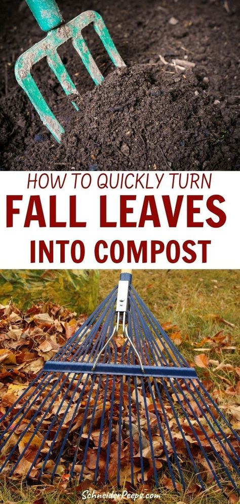 Compost is a gardener's "black gold" and you can make a lot of it for free this winter. With just two basic ingredients, you can make all the compost you need for your vegetable garden, fruit trees, and even ornamentals. Learn how to turn leaves into compost in this step by step guide. #organicgardening #growingFood #simpleliving #homesteading Cozy Vegetable Garden, Compost Garden, Greenhouse Garden Beds, Micro Homestead, Vegetable Gardening Ideas, In Ground Composting, Compost Pile Diy, In Ground Gardening, Start Composting