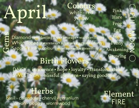 April Magical Correspondences, May Witchcraft, May Correspondences, April Correspondences, Monthly Correspondences, April Magick, Wicca Holidays, Magickal Correspondences, Pagan Quotes