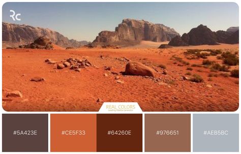 #RealColors Colour Harmony, Apps Design, Coloring Apps, Design Seeds, Color Harmony, Mars, See More, Desktop Screenshot, Color Palette