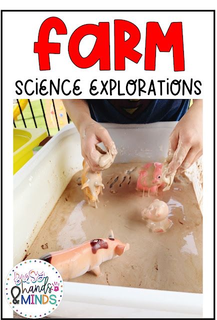 Farm Science Explorations for Preschool | Busy Hands and Minds Farm Theme Preschool Science Math Activities, Farm Science For Toddlers, Farm Theme Science Experiment, Farm Science Center Preschool, Farm Inquiry Kindergarten, Cow Science Preschool, Farm Animal Science Activities Preschool, Farm Animals Science Preschool, What Grows On A Farm Preschool